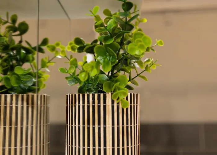 Holiday home 4 Bis - Maison Moderne Cozy Avec Exterieur *